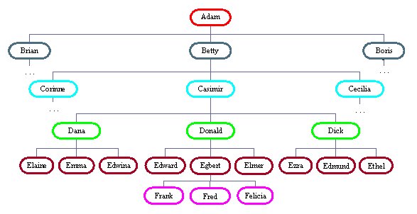 Organization Chart
